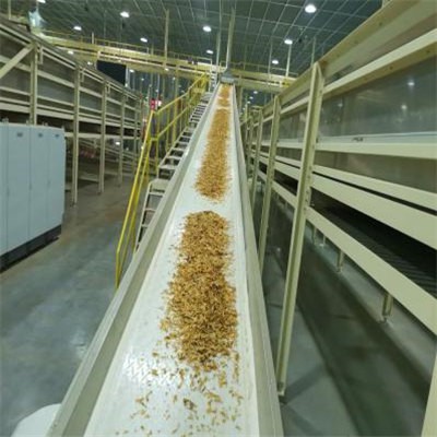 info-400-400 info-400-400